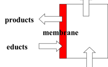 Chemical Membrane Reactors