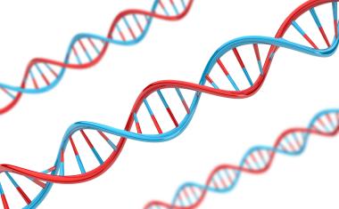 EU-Lifesciences-Strategie: DIB fordert Biotechnologie als Schlüsseltechnologie für Europas Zukunft