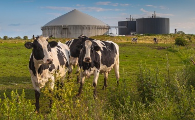 Schraubenverdichter speisen Biomethan ins Gasnetz ein