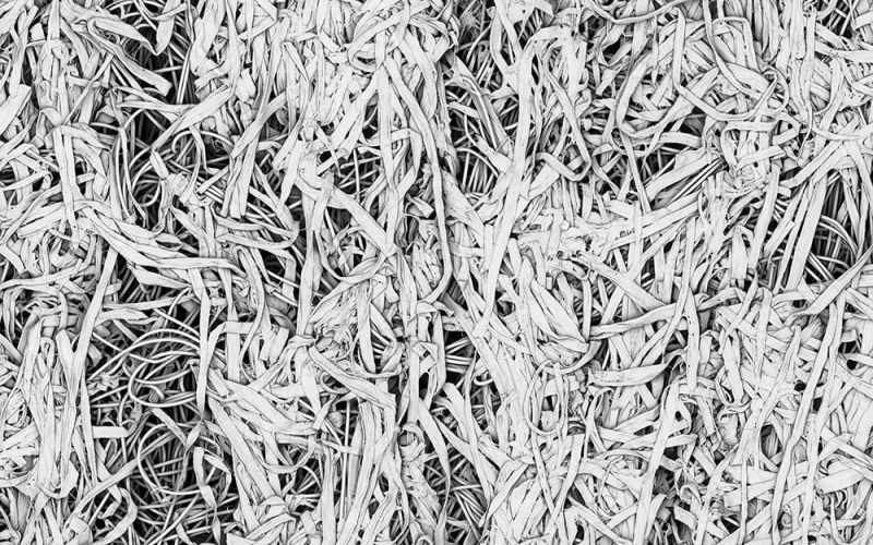 Polyester-Zellstoff-Vlies, A-Seite nach
33 Tagen Lagerung im Erdreich,...