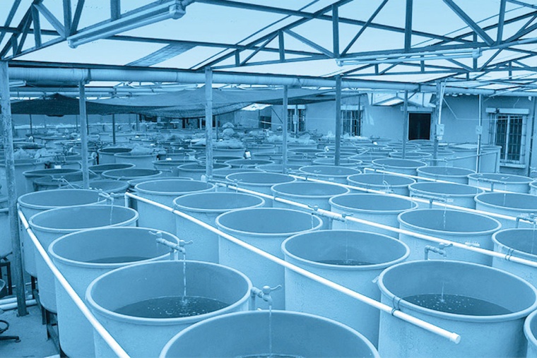 Indoor Tanks © Ins-Univ-Heraklion-Gre