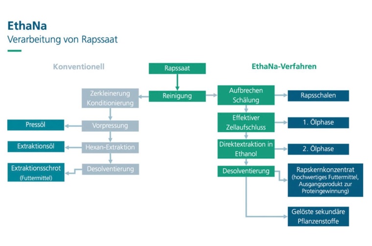 Schematische Darstellung der Verarbeitung von Raps: herkömmliches Verfahren...