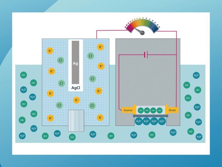 Vereinfachte Darstellung eines ISFETs mit einer Ag / AgCl-Referenzelektrode. ©...