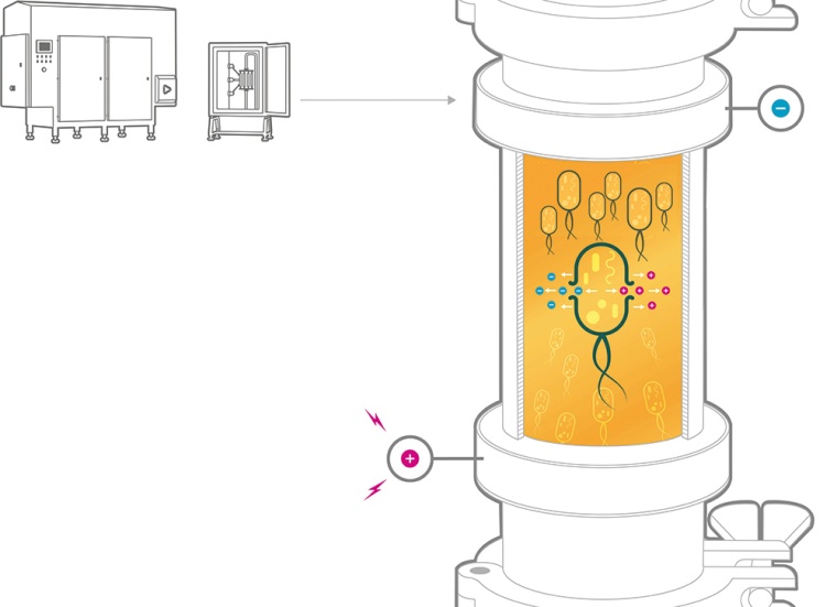 Abb. 4: Schematische Darstellung der Elektroporation. | © Elea Technology