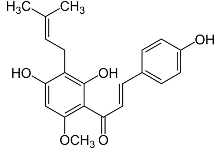 Abb. 2: Xanthohumol ist ein im Hopfen vorkommendes prenyliertes Flavonoid, dem...