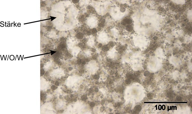 Doppelemulsion W1/O/W2 (C12-Peptide in der W1-Phase) in Stärkepudding...